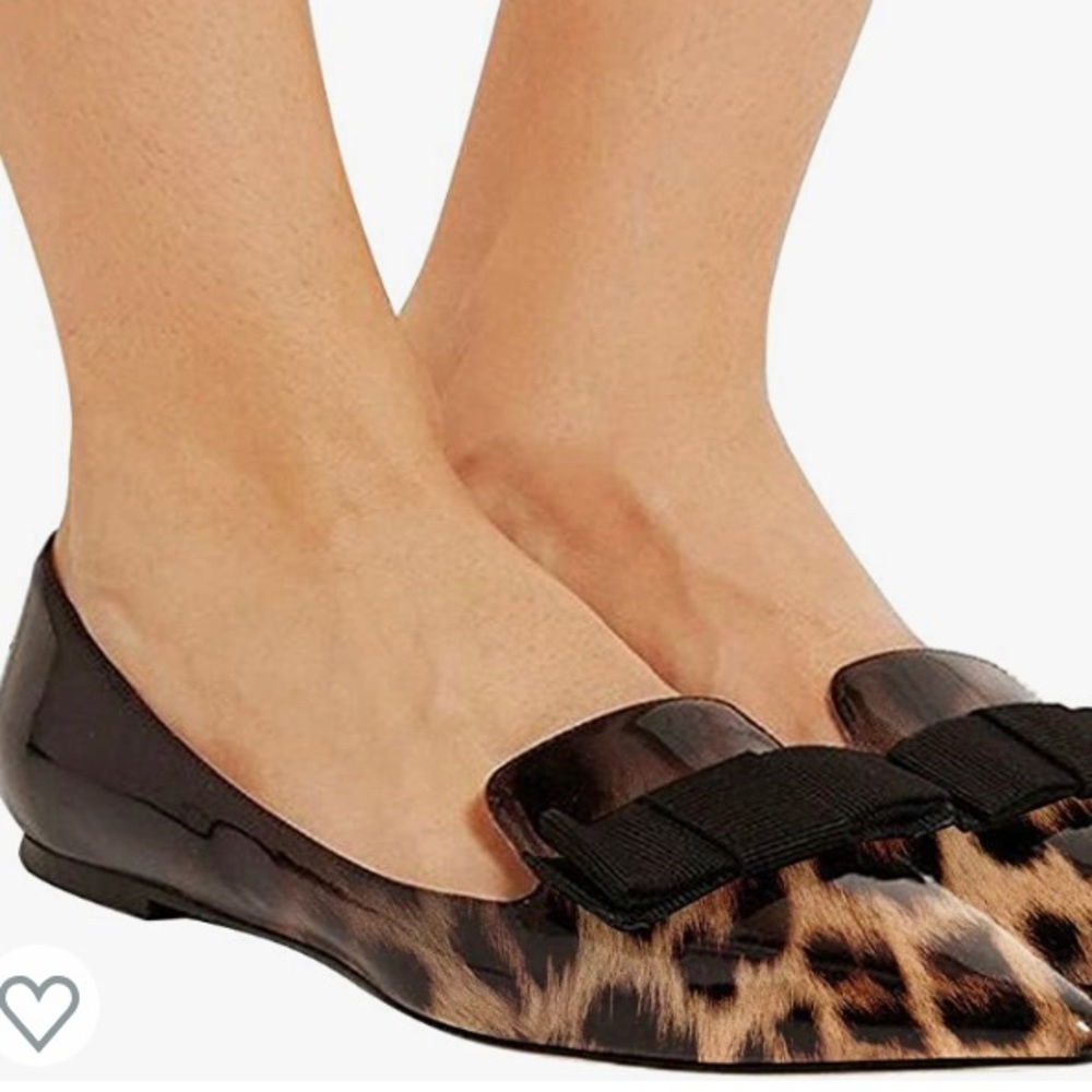 Woman’s Pointy Toe Dress Loafer